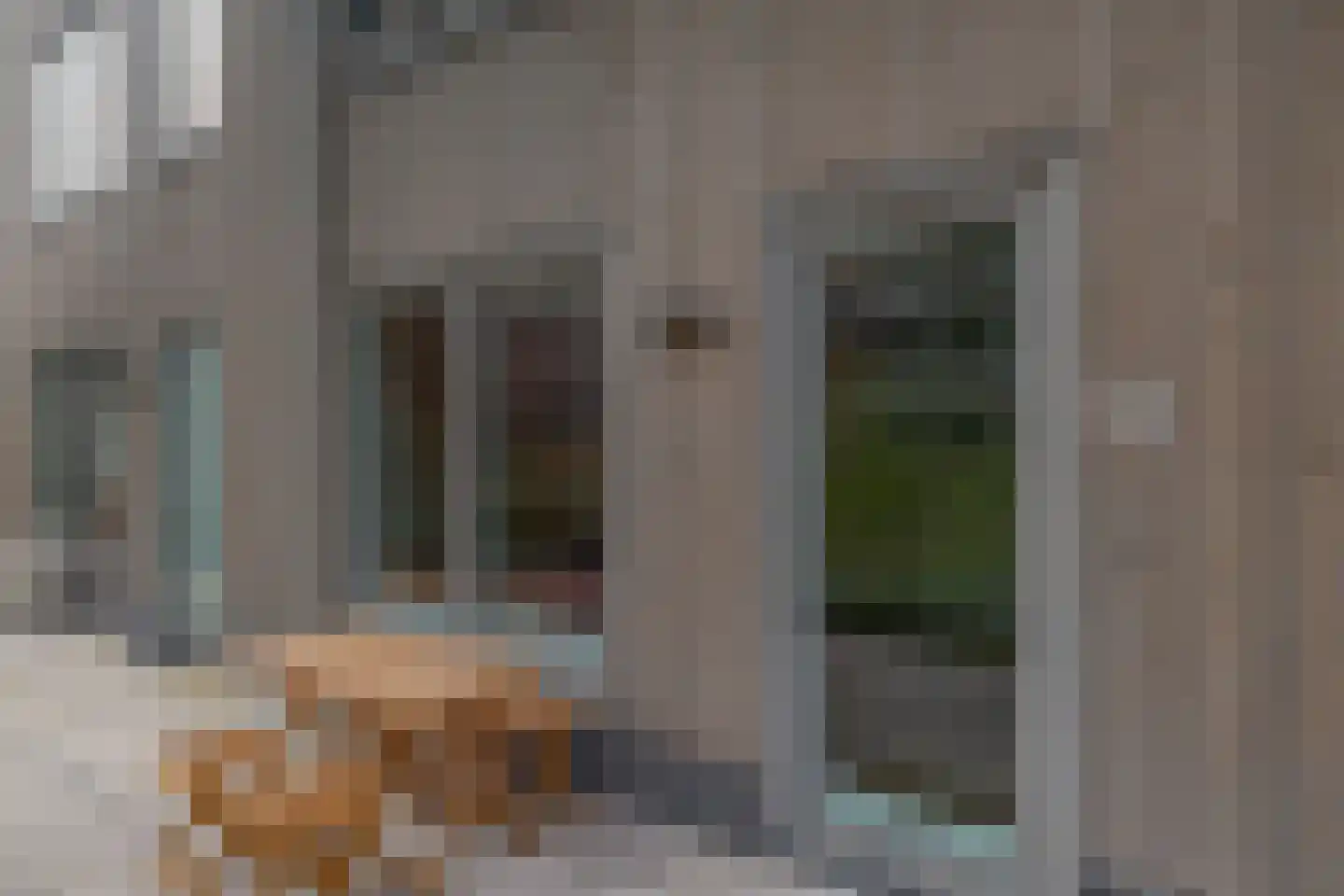 Albertina Sisulupad 116 Rotterdam thumbnail 8