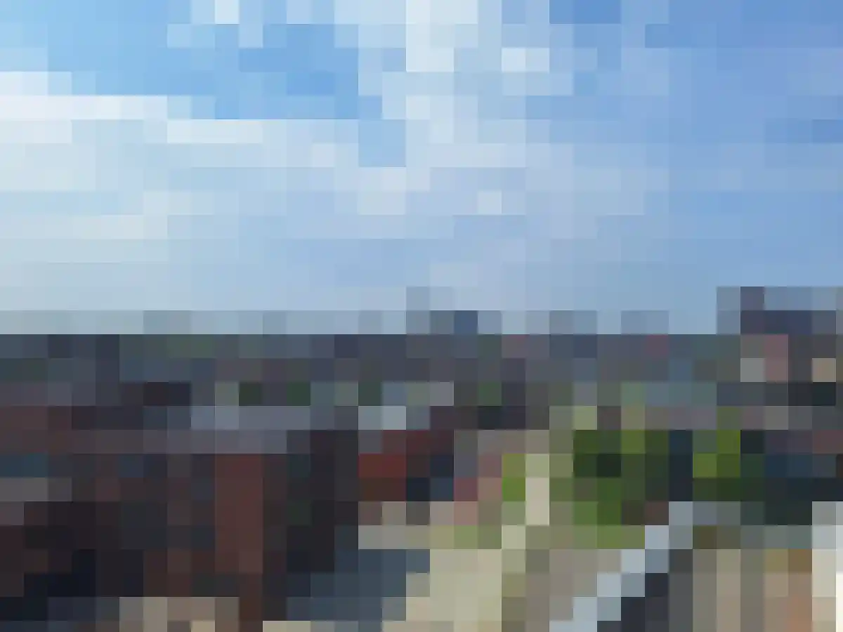 Albertina Sisulupad 164 Rotterdam thumbnail 7