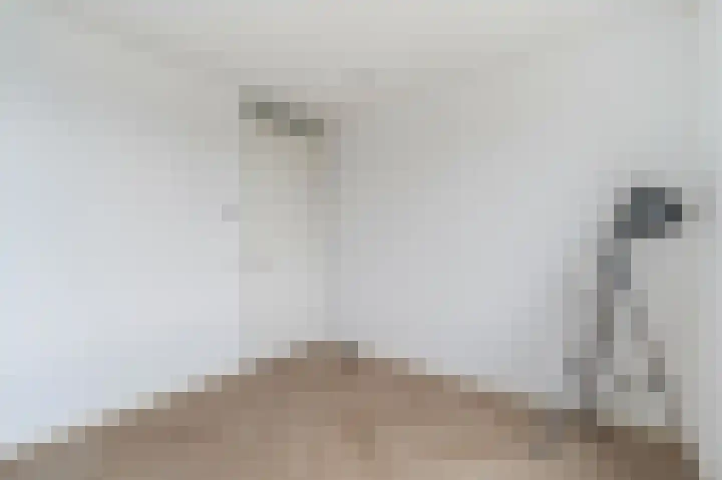 Albertina Sisulupad 212 Rotterdam thumbnail 11