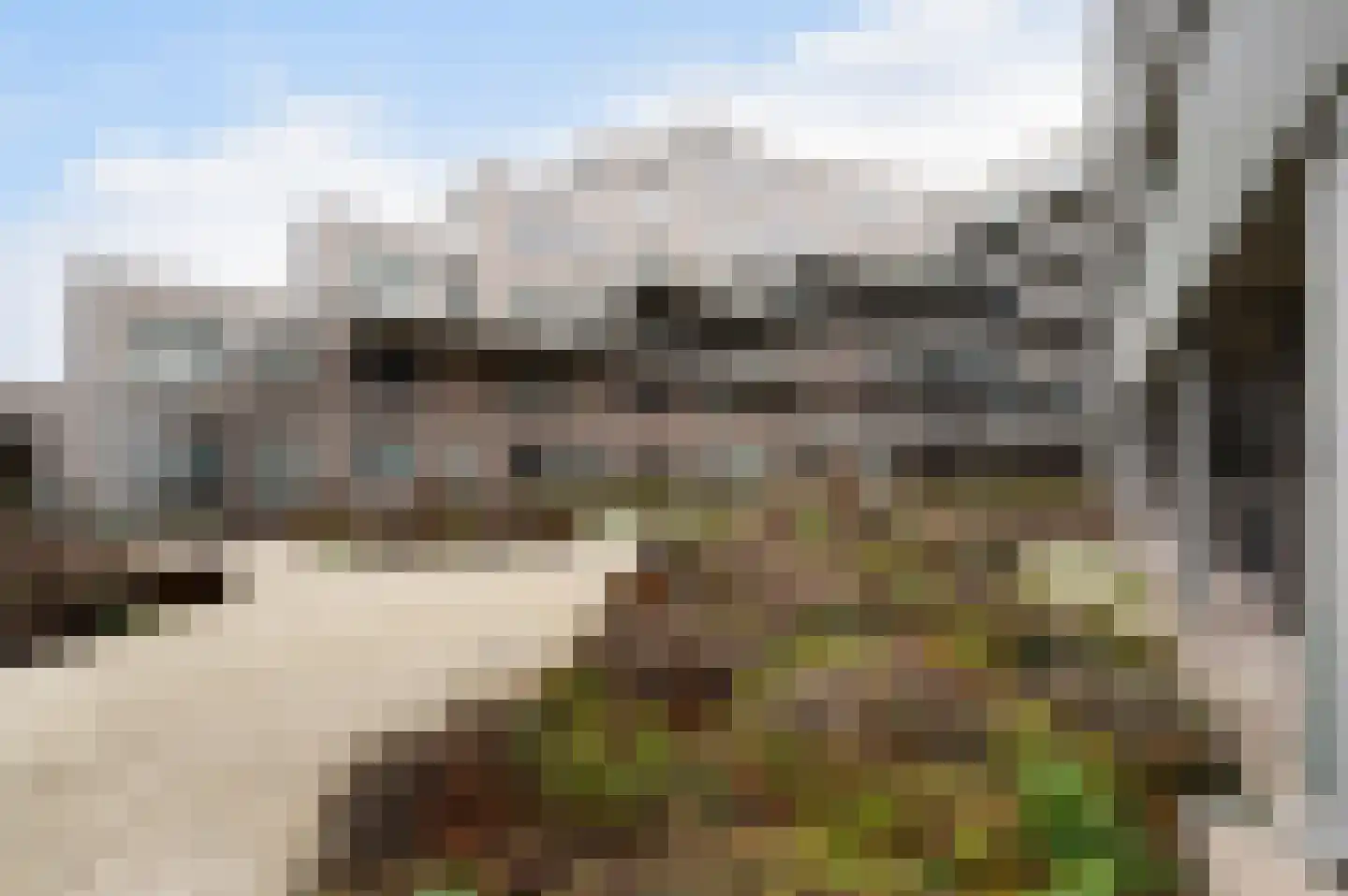 Albertina Sisulupad 212 Rotterdam thumbnail 4