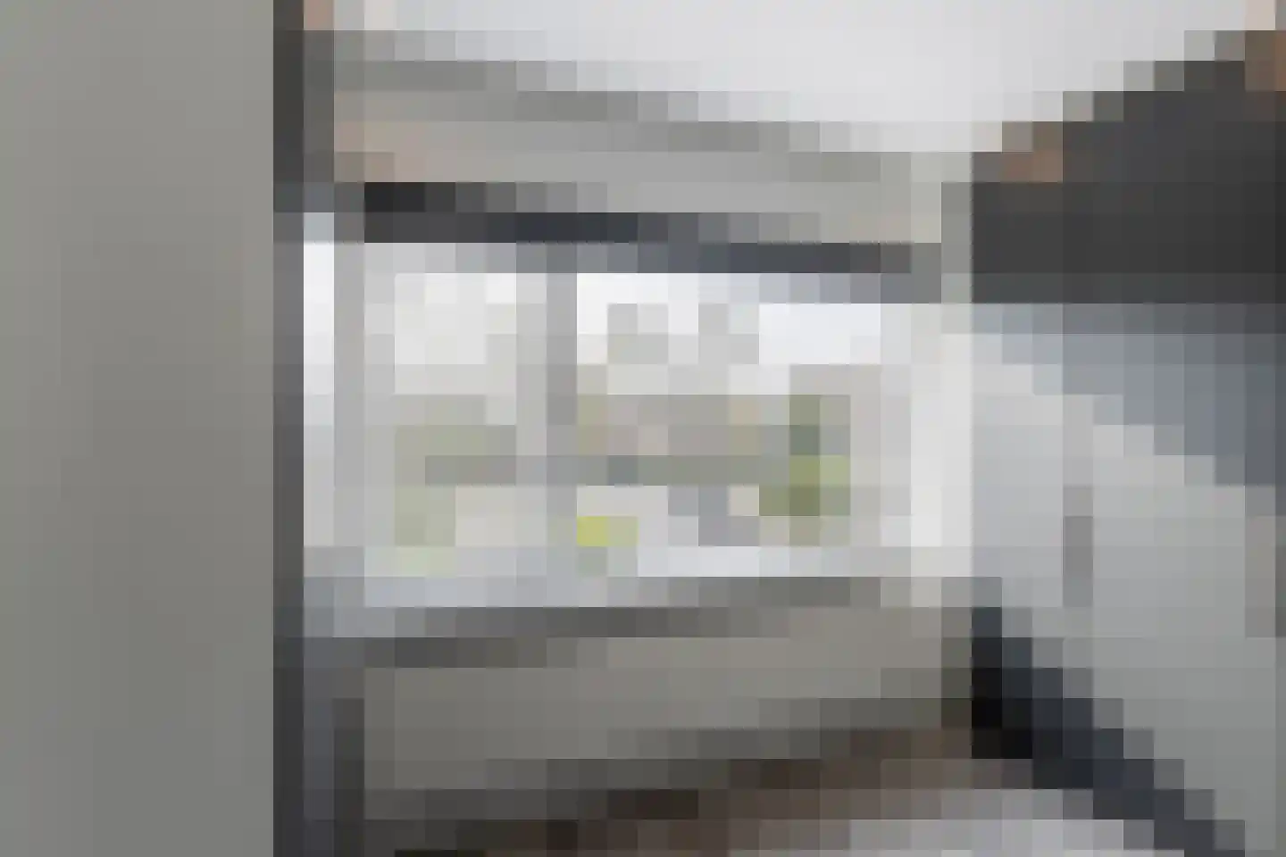 Albertine Agneslaan 1 Vlaardingen thumbnail 27
