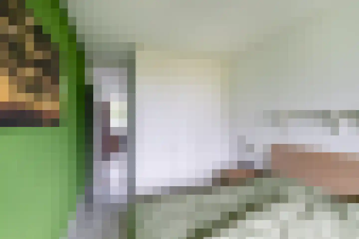 Albertine Agneslaan 308 Vlaardingen thumbnail 26