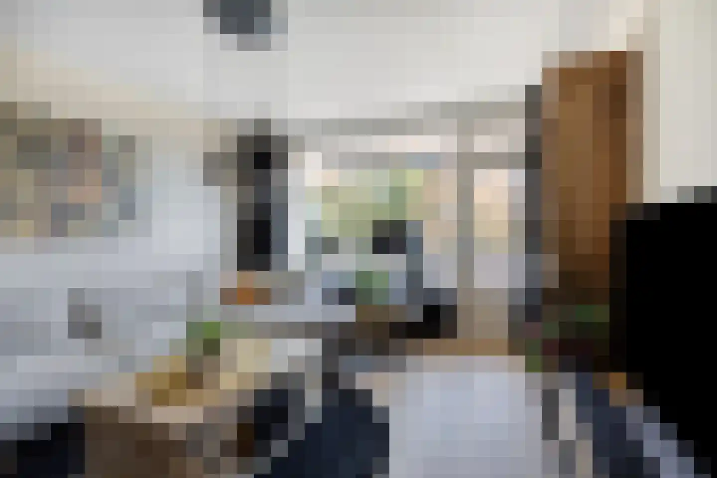 Albertine Agneslaan 310 Vlaardingen thumbnail 13