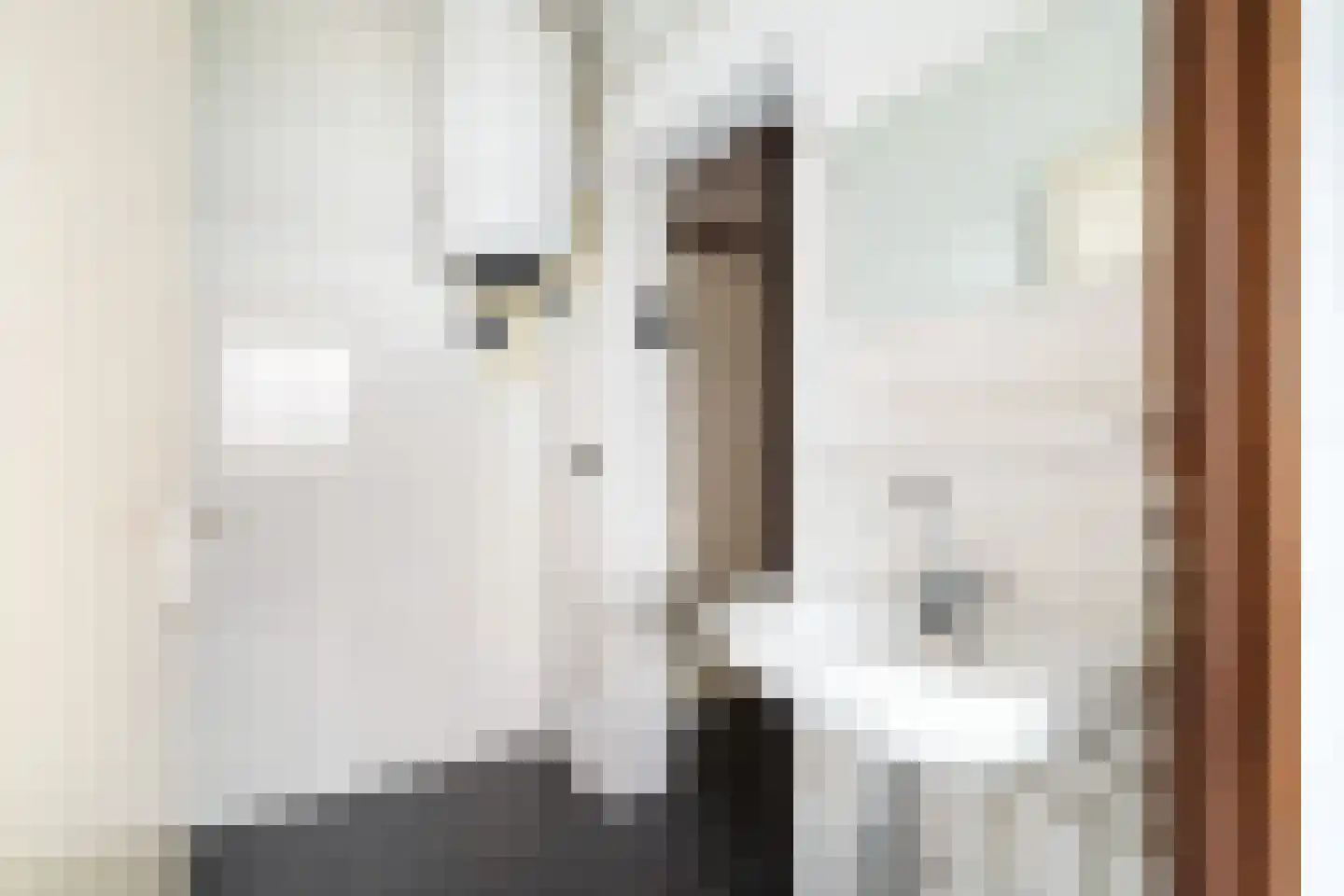 Albertine Agneslaan 362 Vlaardingen thumbnail 22