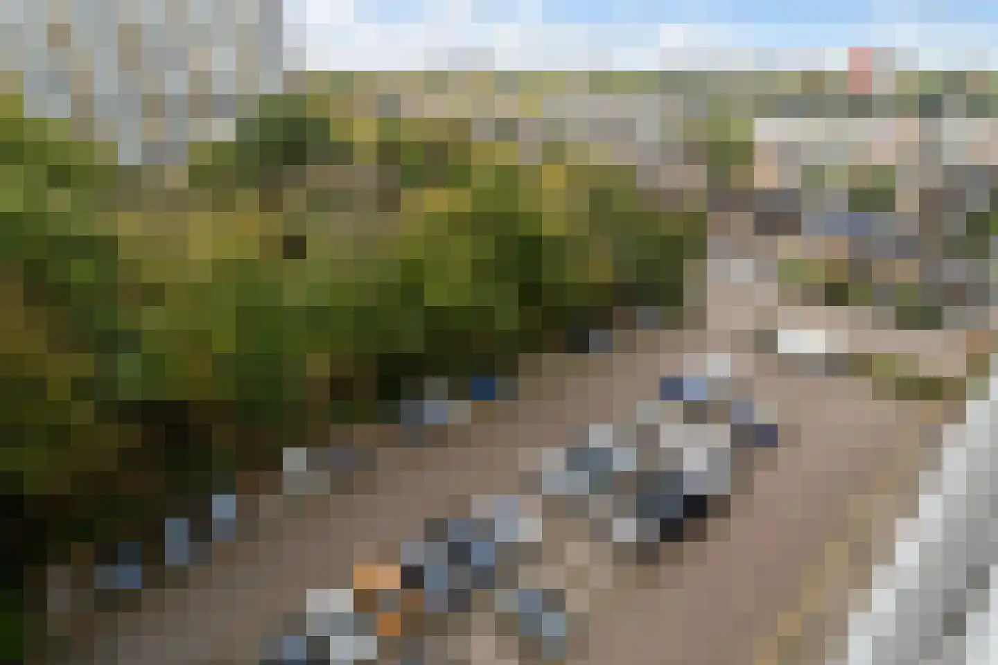 Albertine Agneslaan 362 Vlaardingen thumbnail 34