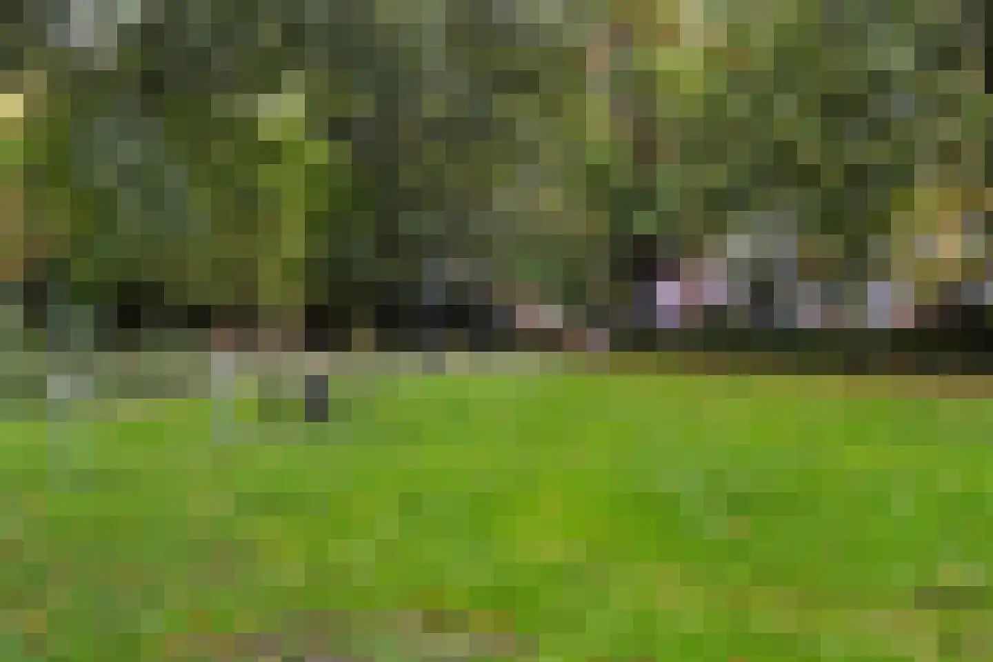 Albertine Agneslaan 362 Vlaardingen thumbnail 37