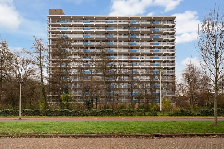 Photo de la maison Albertine Agneslaan 376, Vlaardingen