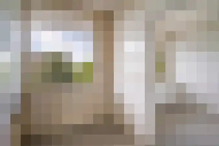Albertine Agneslaan 74 Vlaardingen thumbnail 12
