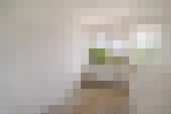 Albertine Agneslaan 74 Vlaardingen thumbnail 4