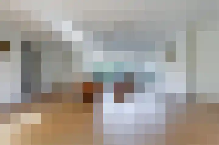 Albertine Agneslaan 8 Naarden thumbnail 16