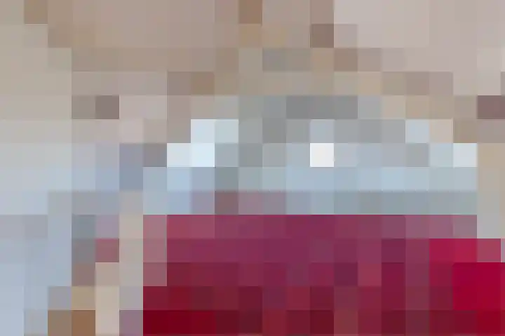 Albertine Agneslaan 8 Naarden thumbnail 50