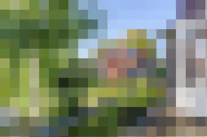 Albertine Agneslaan 8 Naarden thumbnail 61