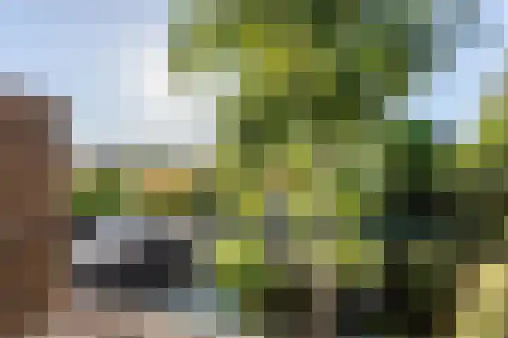 Albertine Agneslaan 8 Naarden thumbnail 62