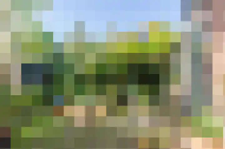 Albertine Agneslaan 8 Naarden thumbnail 64