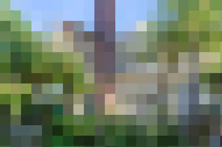 Albertine Agneslaan 8 Naarden thumbnail 68