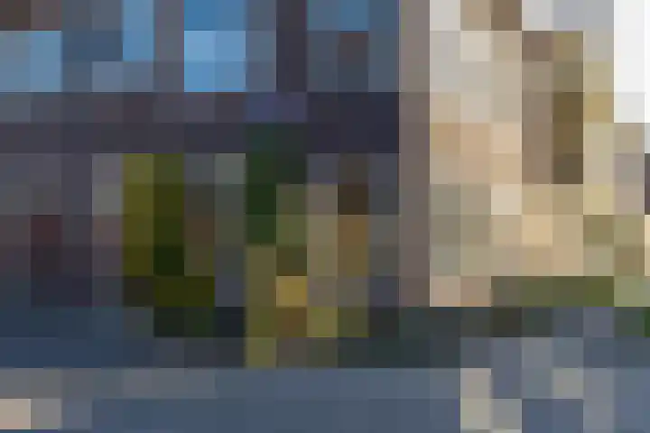 Albertine Agnesplein 1 in Groningen