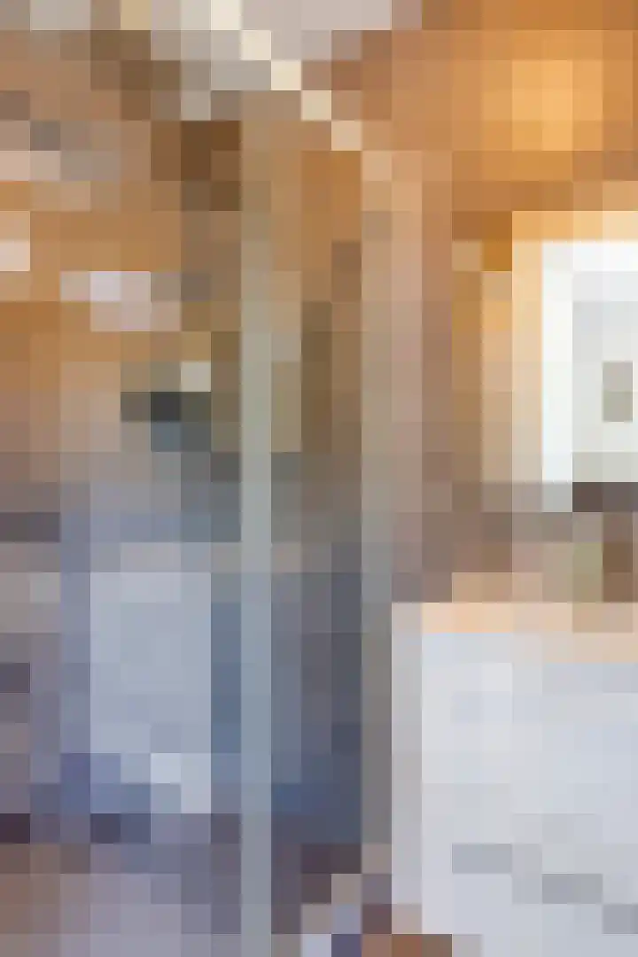Albertistraat 46 Rotterdam thumbnail 15