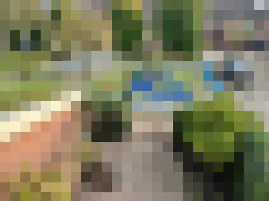 Albertje Onosplantsoen 21 Hoofddorp thumbnail 10