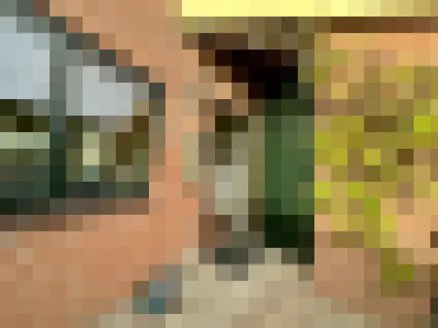 Albertje Onosplantsoen 21 Hoofddorp thumbnail 11
