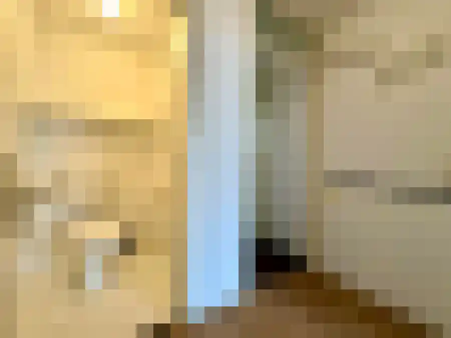 Albertje Onosplantsoen 21 Hoofddorp thumbnail 12