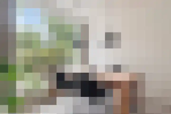 Albertlaan 15 Nunspeet thumbnail 14
