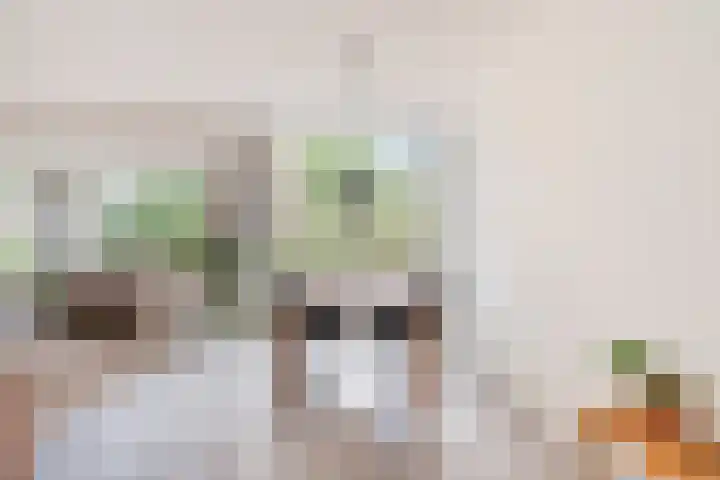 Albertlaan 15 Nunspeet thumbnail 15