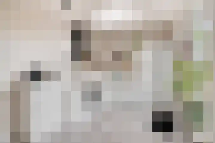 Albertlaan 15 Nunspeet thumbnail 17