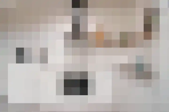 Albertlaan 15 Nunspeet thumbnail 19
