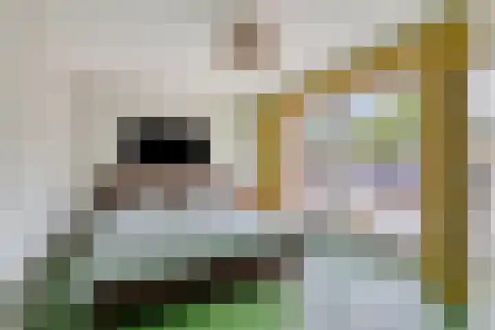 Albertlaan 15 Nunspeet thumbnail 22