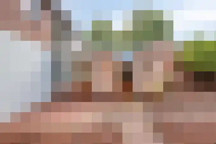 Albertlaan 15 Nunspeet thumbnail 34