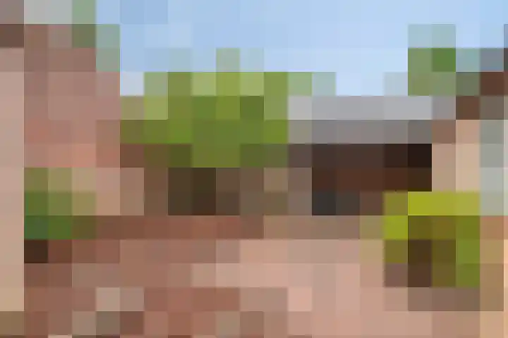 Albertlaan 15 Nunspeet thumbnail 36