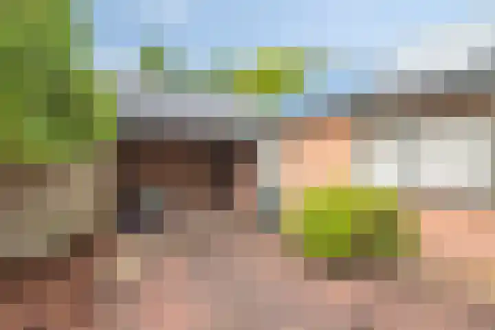 Albertlaan 15 Nunspeet thumbnail 37