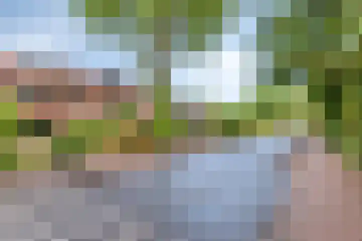 Albertlaan 15 Nunspeet thumbnail 38