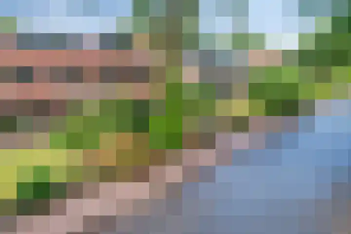 Albertlaan 15 Nunspeet thumbnail 39