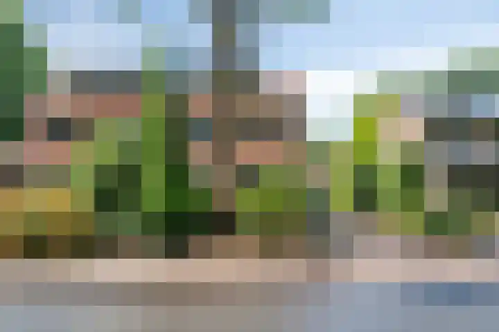 Albertlaan 15 Nunspeet thumbnail 4