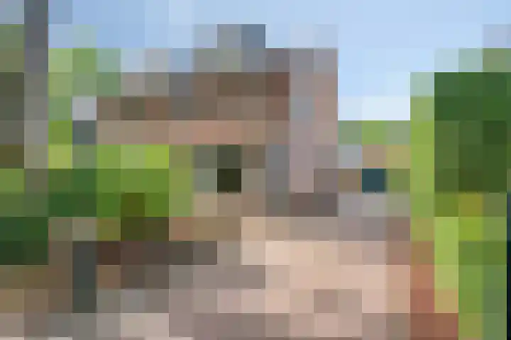 Albertlaan 15 Nunspeet thumbnail 5