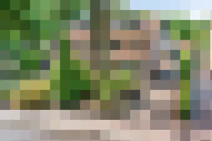 Albertlaan 15 Nunspeet thumbnail 6