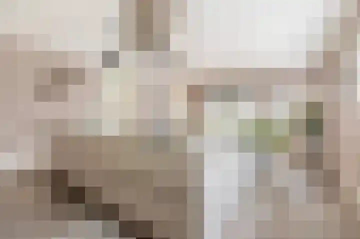 Albertlaan 31 Sterksel thumbnail 12