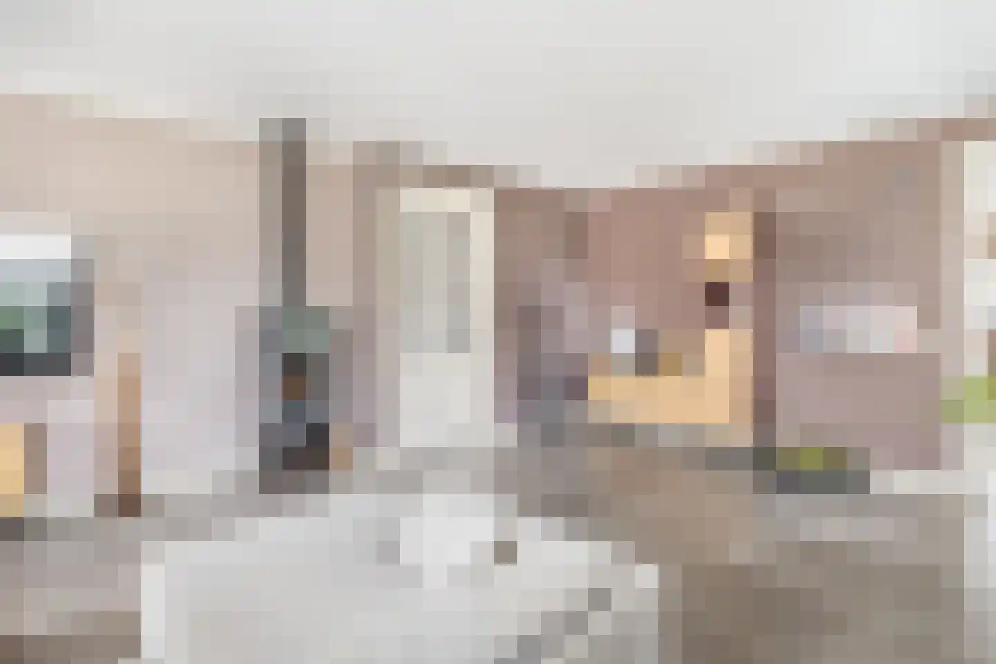 Albertlaan 31 Sterksel thumbnail 14