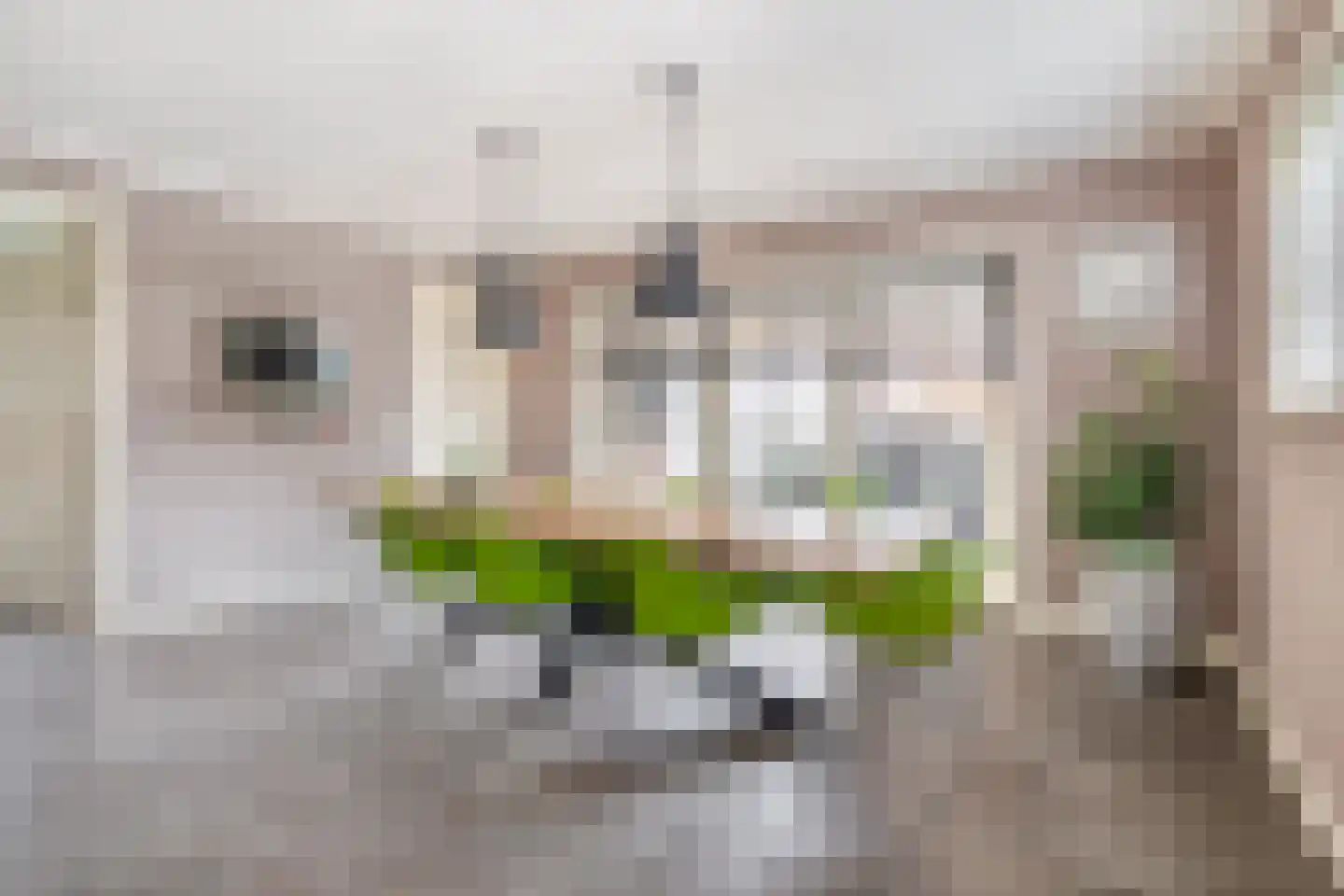Albertlaan 31 Sterksel thumbnail 16