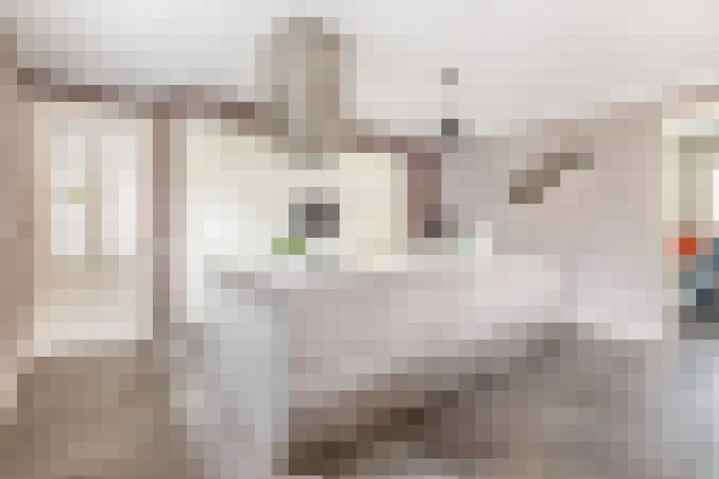 Albertlaan 31 Sterksel thumbnail 16