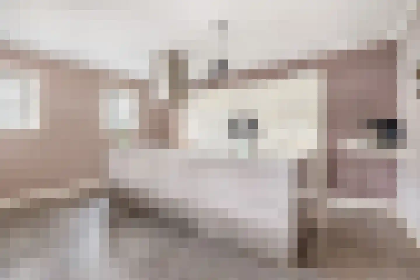 Albertlaan 31 Sterksel thumbnail 17