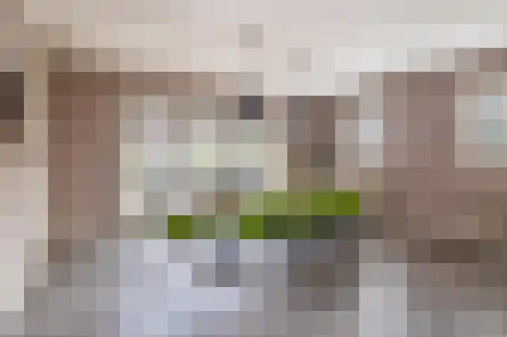 Albertlaan 31 Sterksel thumbnail 17