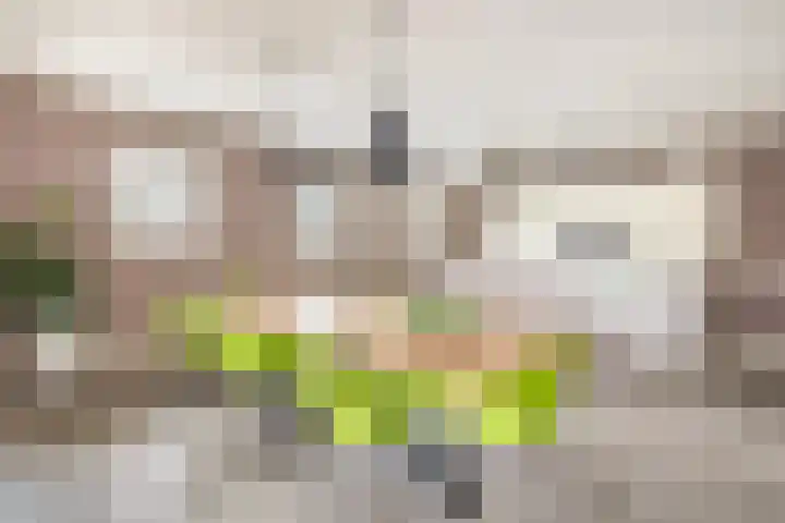 Albertlaan 31 Sterksel thumbnail 18