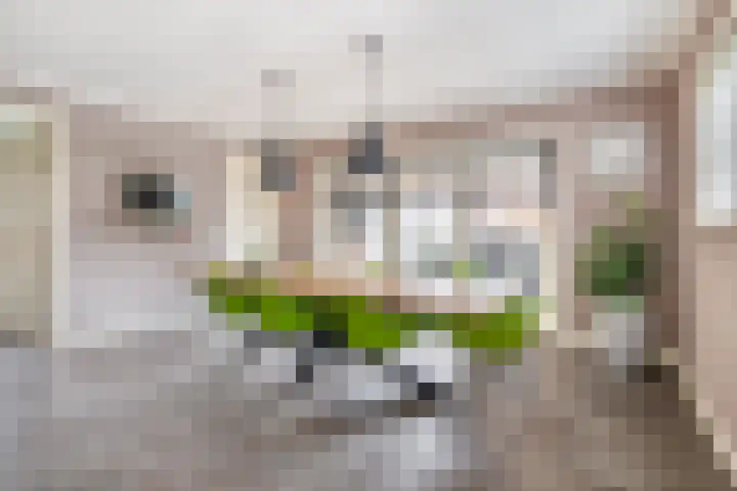 Albertlaan 31 Sterksel thumbnail 18