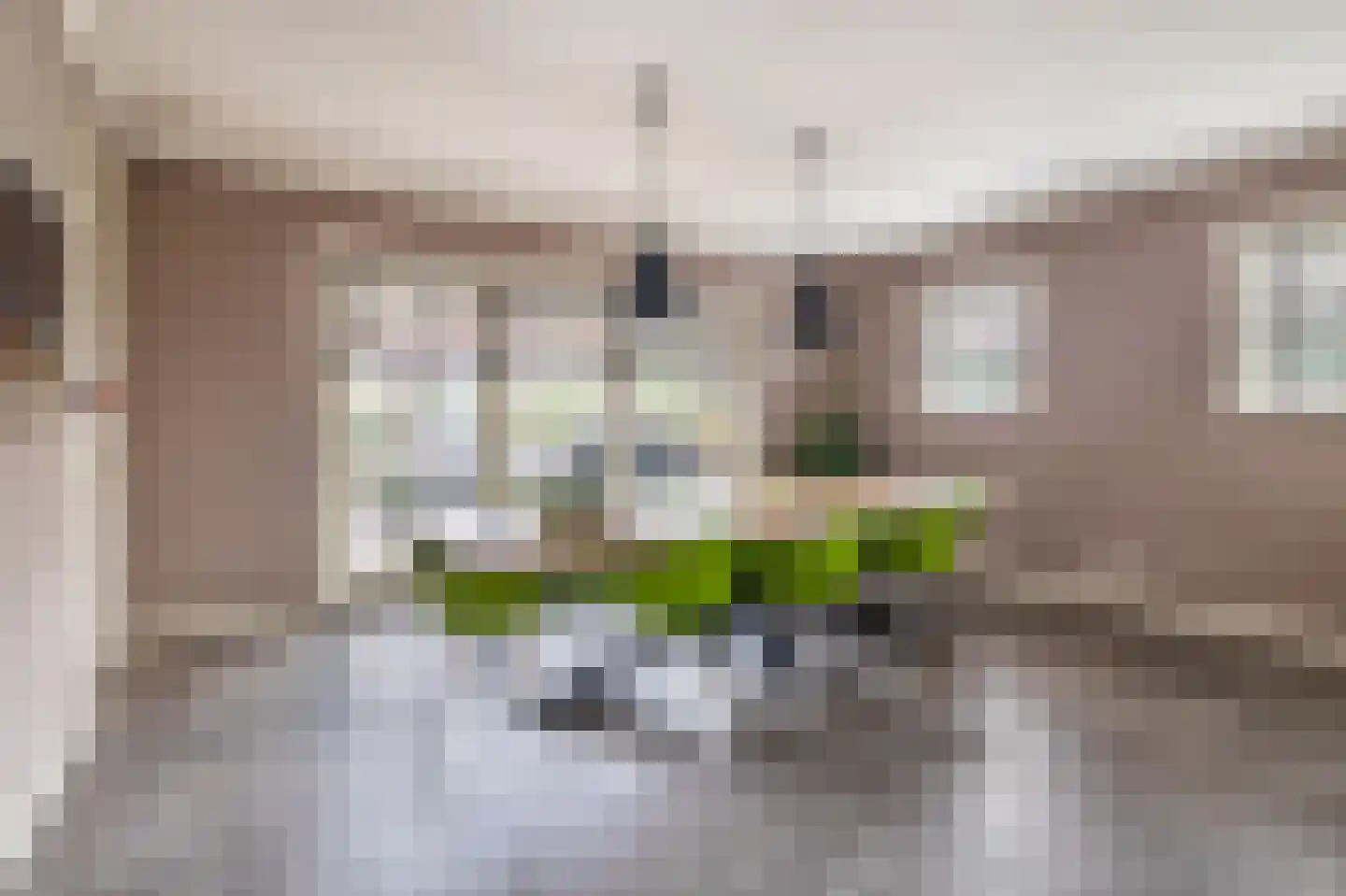 Albertlaan 31 Sterksel thumbnail 19
