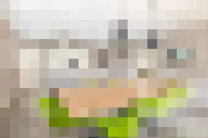 Albertlaan 31 Sterksel thumbnail 19