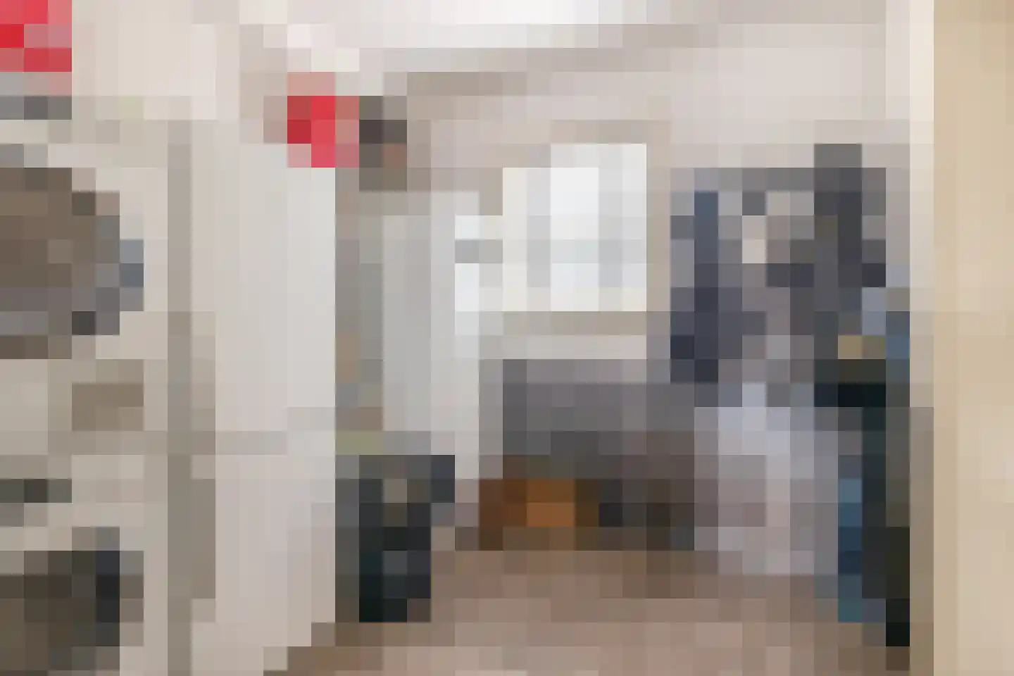 Albertlaan 31 Sterksel thumbnail 22