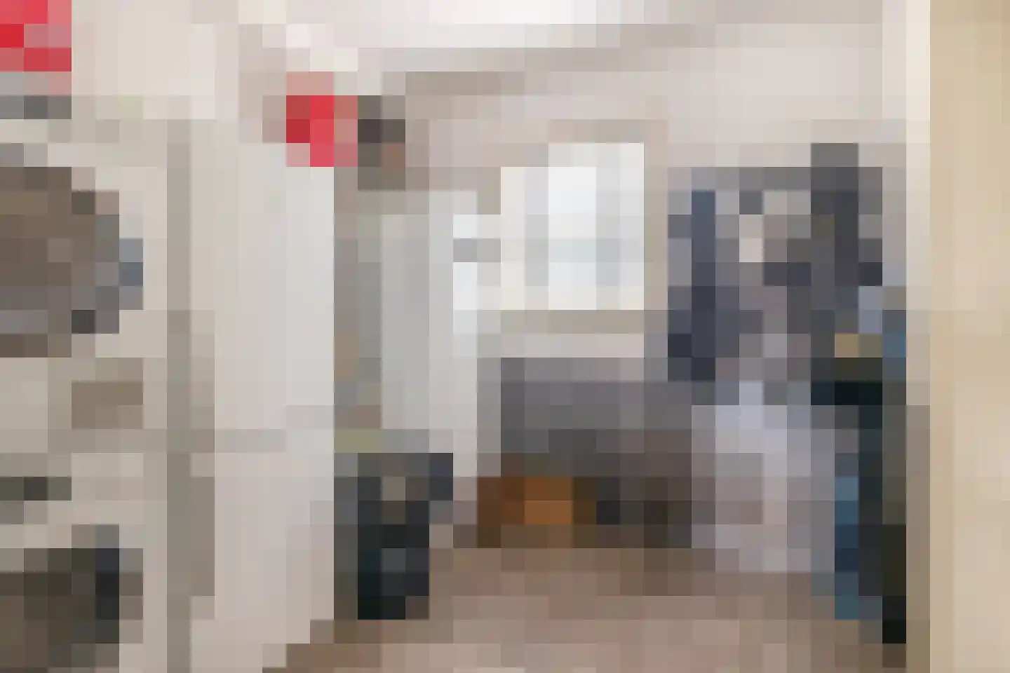 Albertlaan 31 Sterksel thumbnail 23