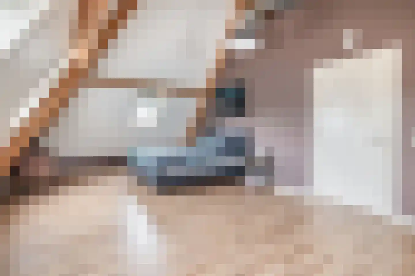 Albertlaan 31 Sterksel thumbnail 29